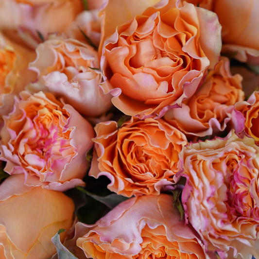 THE BEST VALENTINE'S DAY BLOOMS FROM WOMEN-LED FLORISTS