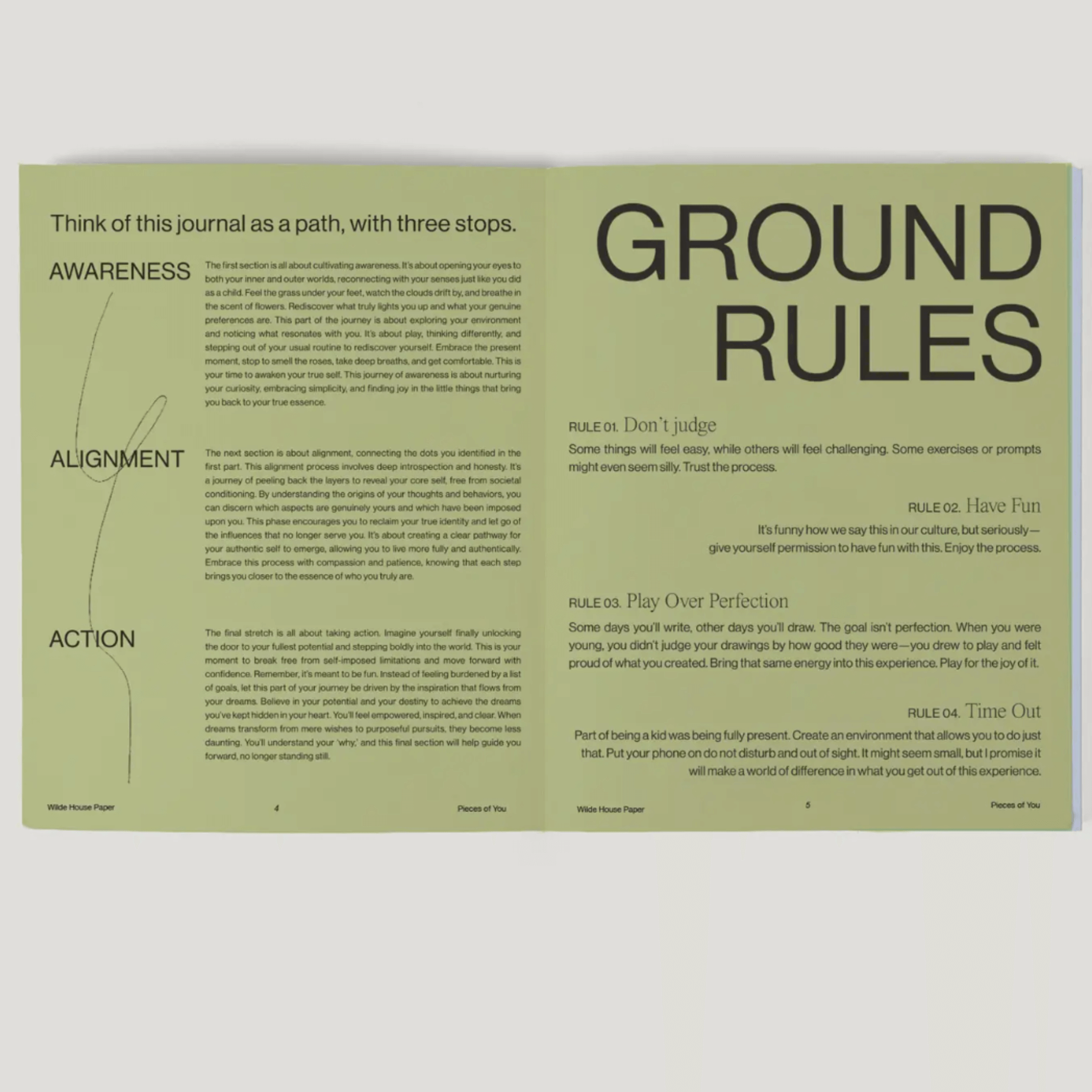 Open journal page displaying ground rules, including awareness, alignment, and action prompts for a guided introspection journey.