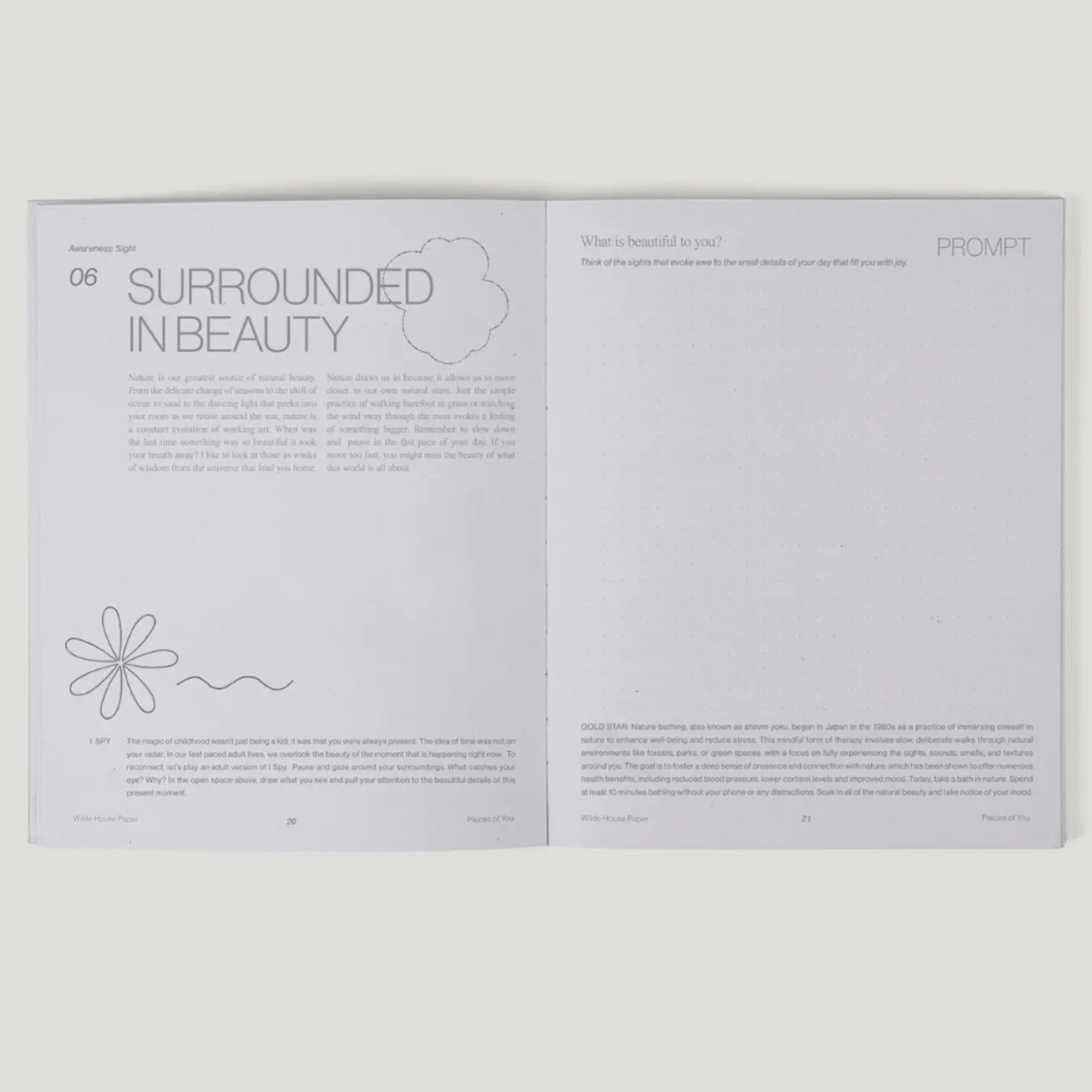 Inside view of the Pieces of You Journal featuring a beauty prompt for reflective journaling.