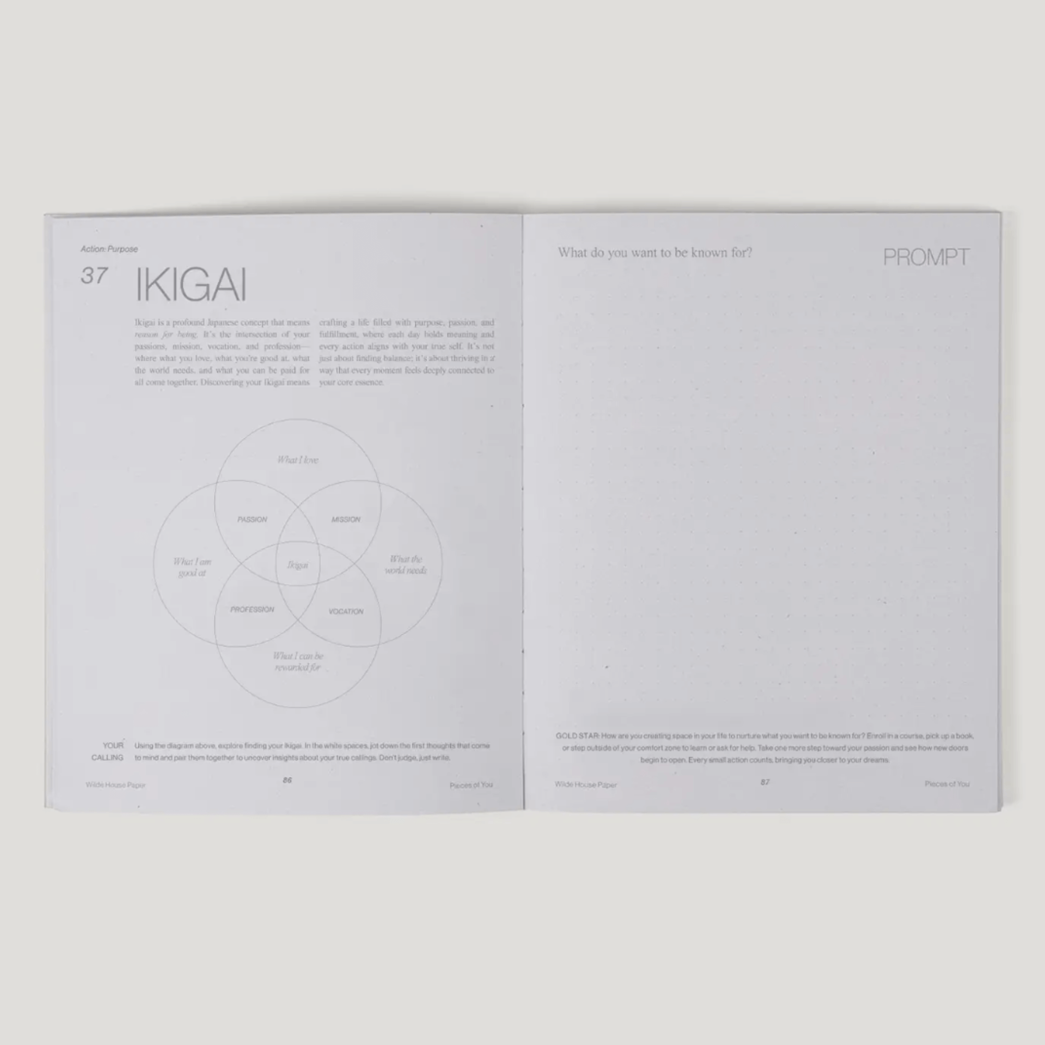 Open journal page featuring an 'Ikigai' prompt and exploration of purpose and passion.