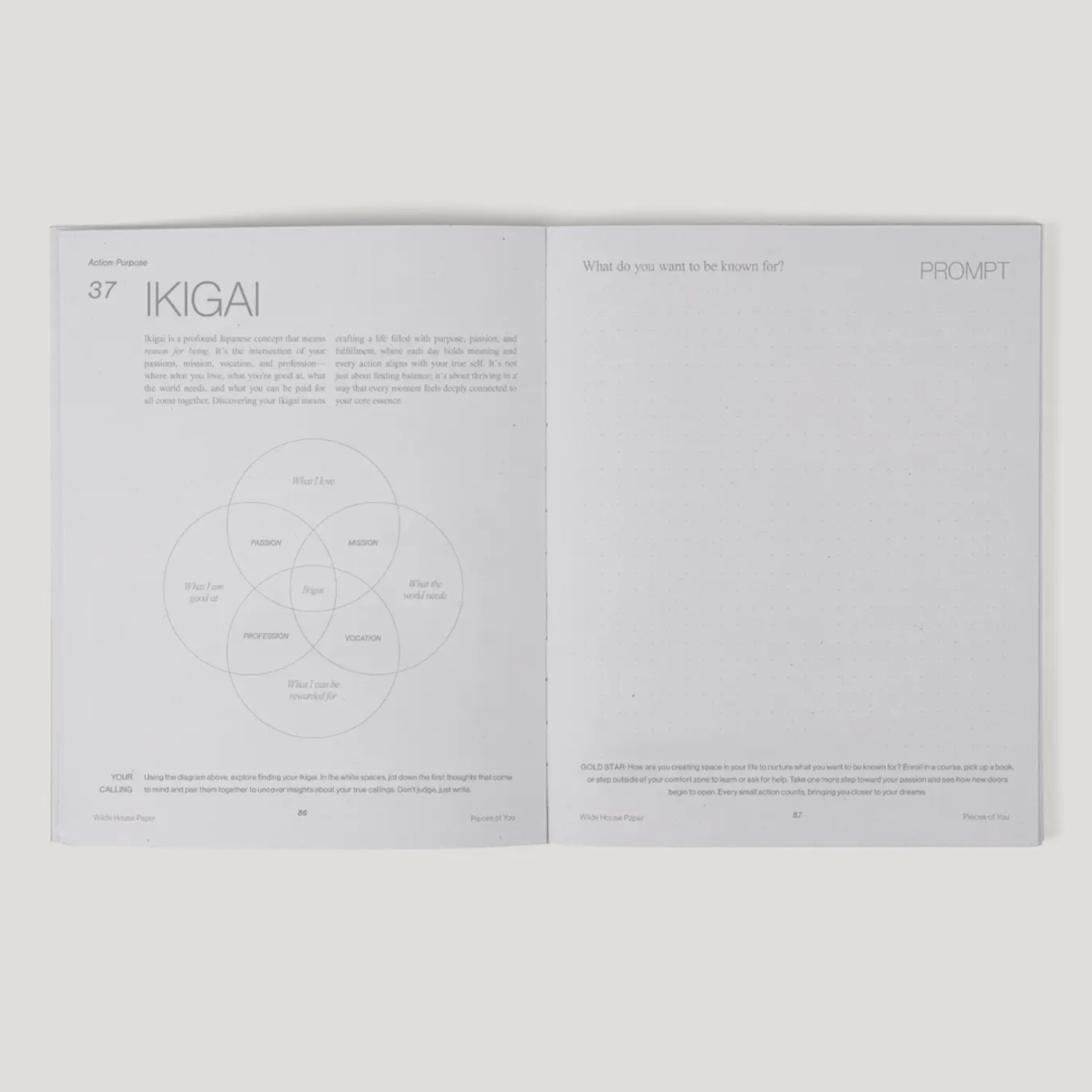 Open journal page featuring IKIGAI concept with prompts for self-discovery and reflection.