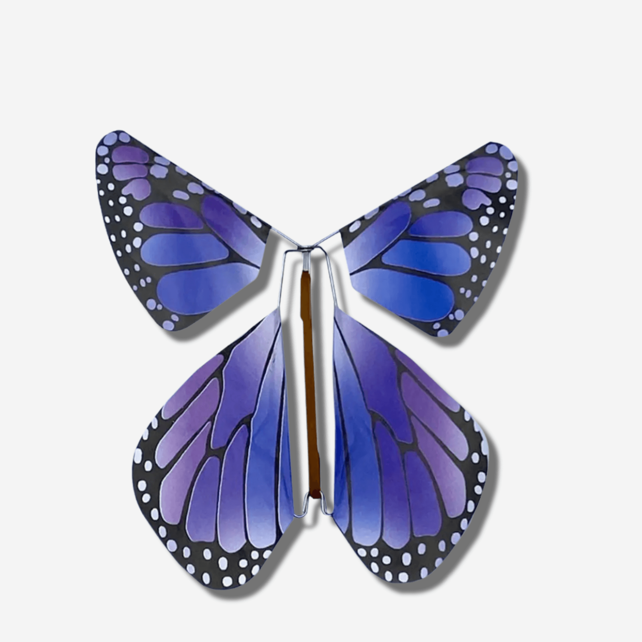 Colorful flying magic butterfly in purple hues, a whimsical surprise for greeting cards and gifts.