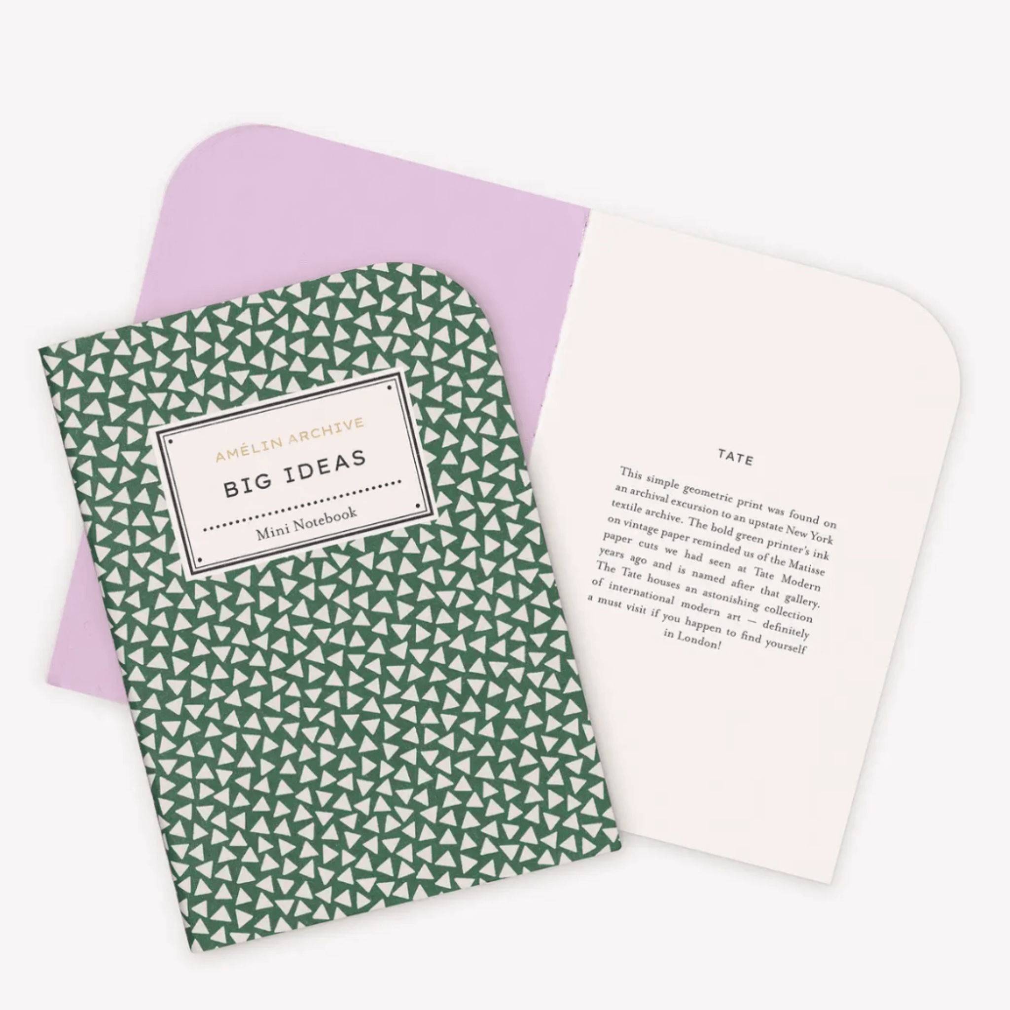 BIG IDEAS notebook showing green geometric cover with pink inner pages, perfect for capturing creative thoughts.