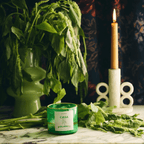 CASA Polanco candle surrounded by fresh greenery and a lit candle, evoking serene luxury and calm ambiance.