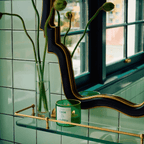 Elegant CASA POLANCO candle displayed on a shelf, surrounded by greenery and sunlight in a chic bathroom setting.
