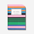 Colorful Big Ideas mini notebook with striped cover in pink, blue, green, and black for notes and sketches.