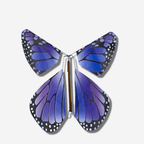 Colorful flying magic butterfly in purple hues, a whimsical surprise for greeting cards and gifts.