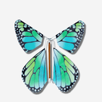 Colorful FLYING MAGIC BUTTERFLY® with vibrant blue and green wings ready to surprise and delight!
