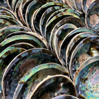 PROTECTION RITUAL SET