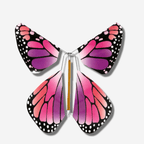 Colorful FLYING MAGIC BUTTERFLY® with pink and purple wings ready to surprise and delight when opened.