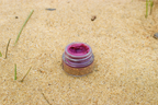 Hibiscus + Beet Lip Tint